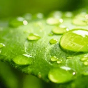 Comité consultatif en Environnement